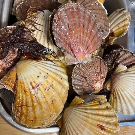 Oen 1 Semesterbostad *