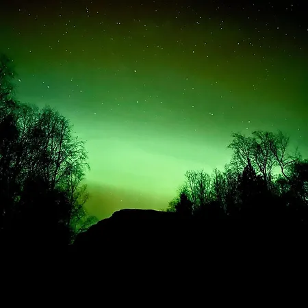 øen 1 *