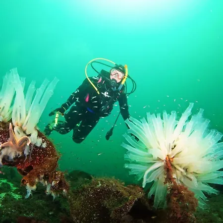 Dom wakacyjny Oen 1 Sorbo